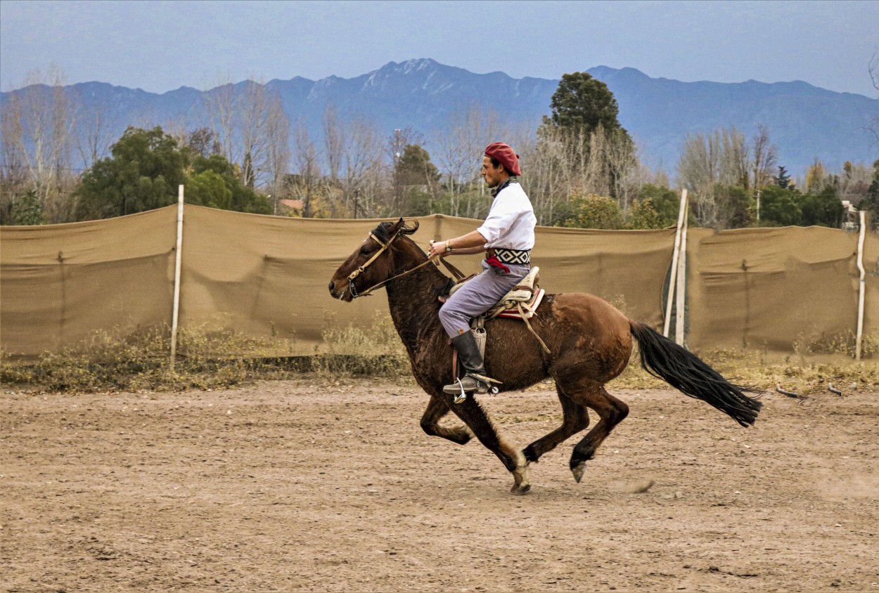 FotoRevista / Convocatoria / Caballito criollo 7 de Rubn Alejandro Yonzo