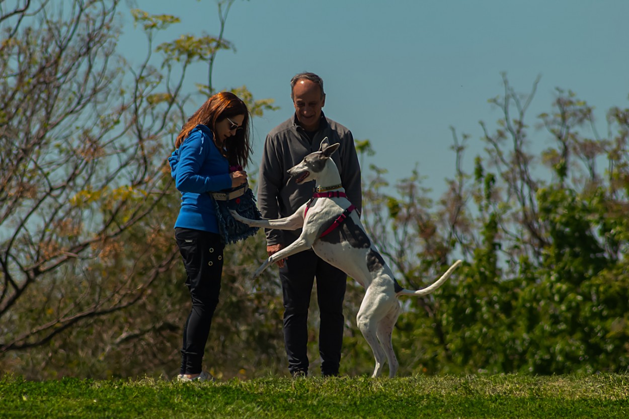 FotoRevista / Convocatoria Mensual / Mascotas