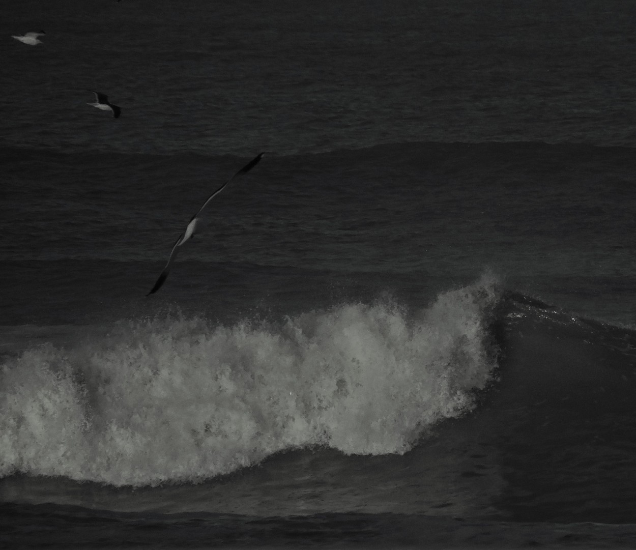 FotoRevista / Convocatoria Mensual / El mar